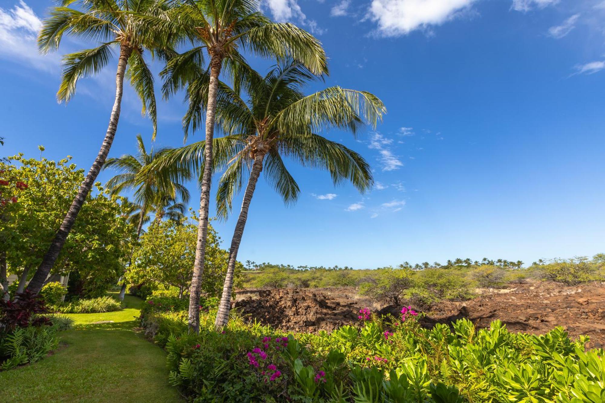 Mauna Lani Palm Villas D-2 Corner Unit Historic View Waikoloa Bagian luar foto